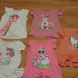 Girls shirt bundle